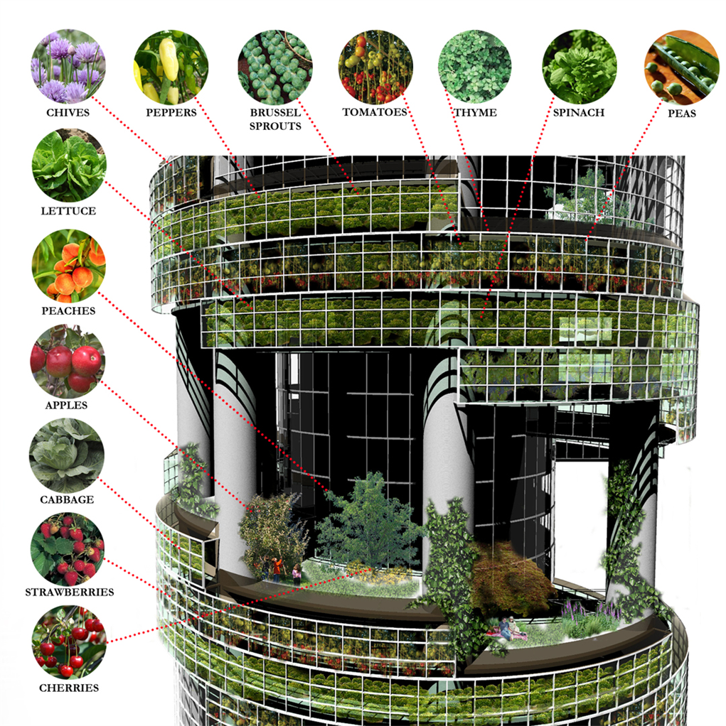 vertical agriculture